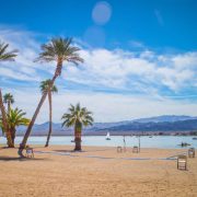 Palm trees lining Lake Havasu, AZ