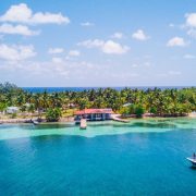 Palm Tree Lined Shores In Belize, Central America